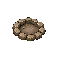 A stone campfire ring.
